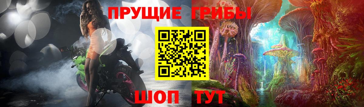 Галлюциногенные грибы мицелий Дальнегорск